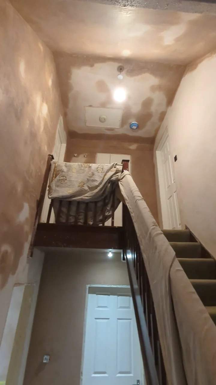 Freshly plastered interior shown in our modern gypsum plastering project film